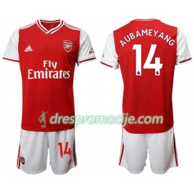 Arsenal Dres Pierre-Emerick Aubameyang 14 Dječji Domaći 2019/2020 Kratkih Rukava